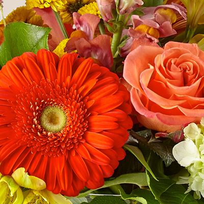 FTD Launches Creative Rebrand Focused on Floristry and More Meaningful Giving