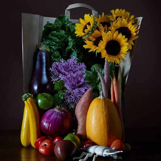 Still life arrangement featuring ornamental kale, sunflowers and vegetables.