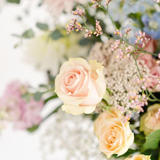 An array of blooms in soft pastels evoke EPHEMERAL's calming color palette.