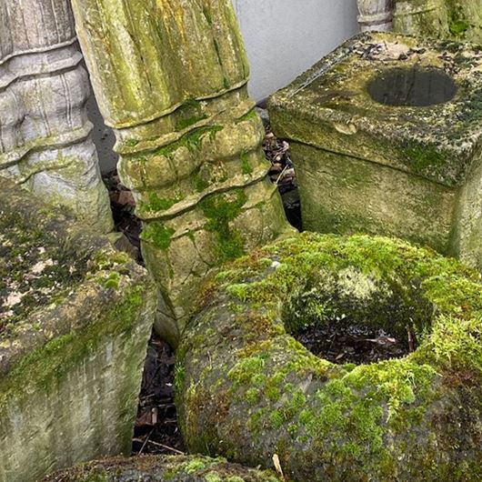 Planters overtaken by natural elements.