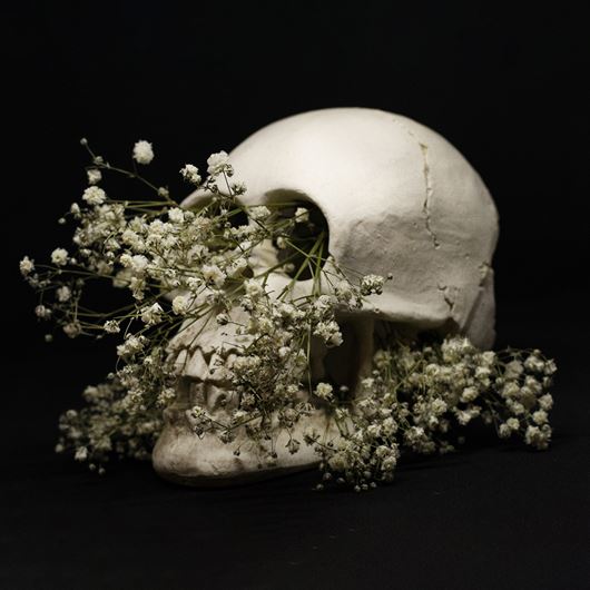 Halloween decor concept featuring Gypsophila and a skull container.