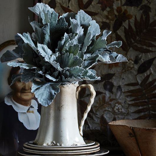 The blue-green tones of dusty miller shine in this antique-style display.