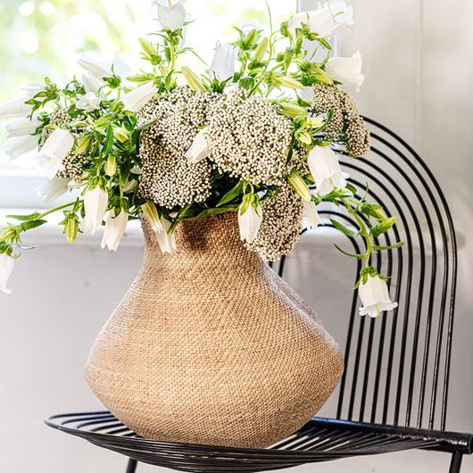 'Champion White' Campanula makes a perfect complement to 'Victoria White' rice flower.