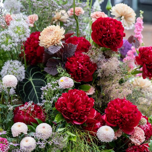 Highlights from L.E.A.F's 2022 Festival of Flowers.