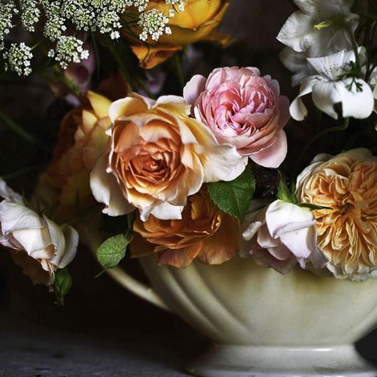 Wedding centerpiece featuring assorted garden roses and Ammi.