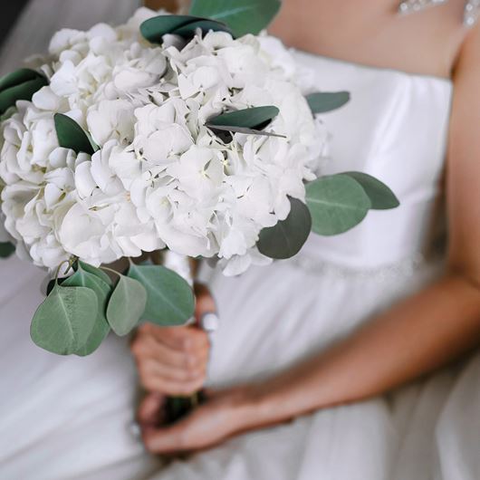 Bridal bouquet featuring white Hydrangea and silver dollar Eucalyptus.