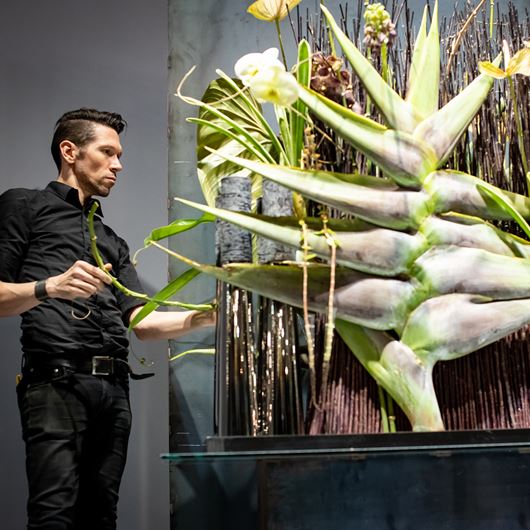 Bart Hassam at the 2019 FTD World Cup, held at the PHS Philadelphia Flower Show.