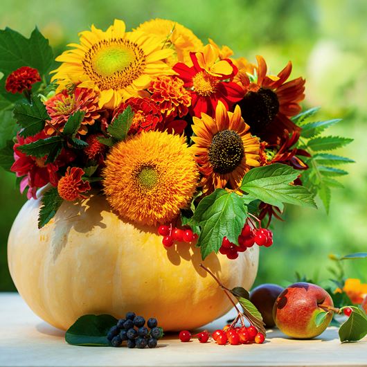 Fall-inspired composition featuring assorted flowers in a pumpkin.