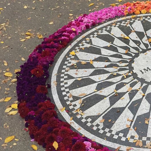 Flower installation at New York City's Strawberry Fields.