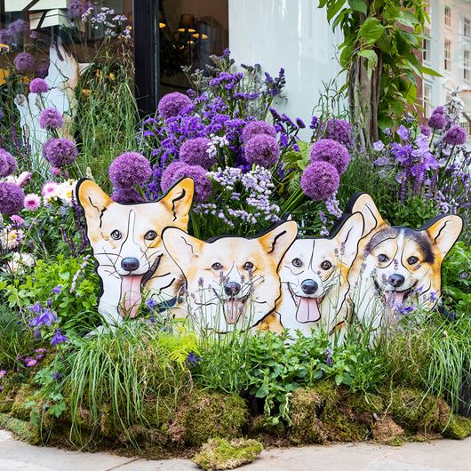 Jo Malone's Chelsea storefront gets a floral upgrade in honor of the 2022 RHS Chelsea Flower Show.