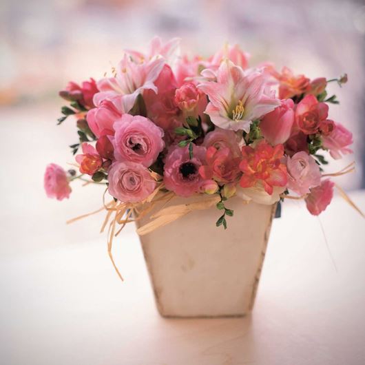 Classic pink Ranunculus and Amaryllis flowers evoke thoughts of spring.