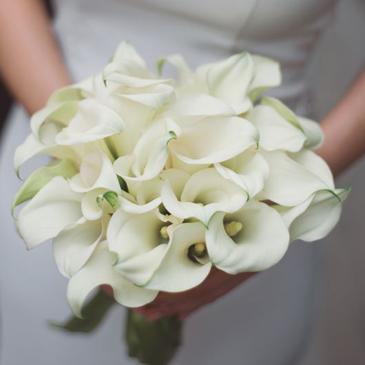 Bridal bouquet featuring white callas.