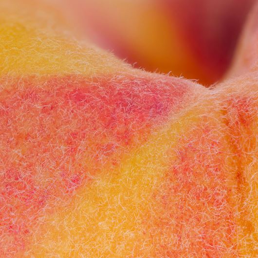 Peach detail.