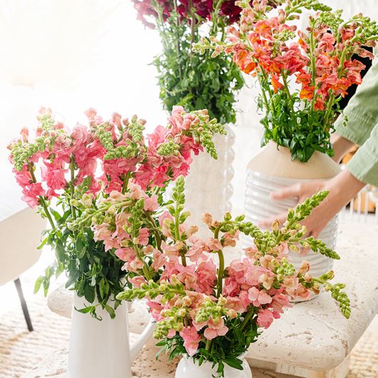 Summer table setting featuring assorted snapdragons.