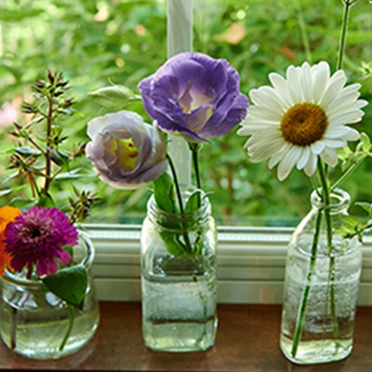 Bud vase arrangement featuring assorted blooms.