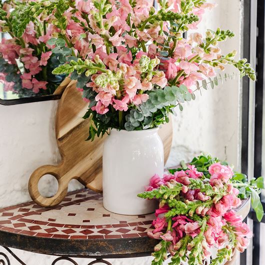 Assorted pink snapdragons on an outdoor terrace.