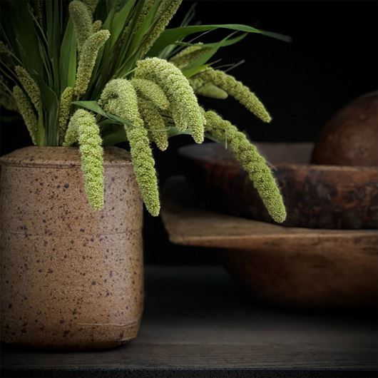 Earthy Setaria sets the mood for autumnal decorating.