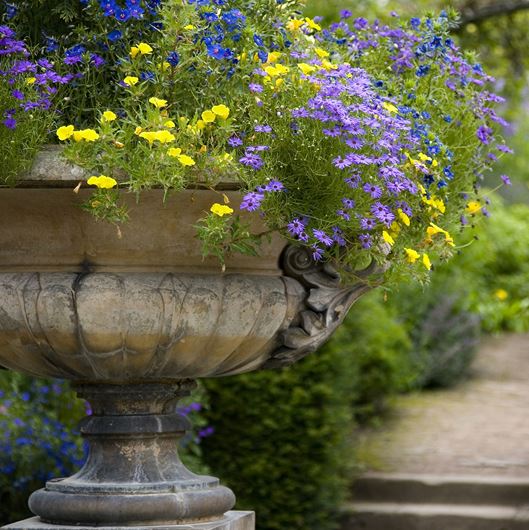 Garden planting with in a classic in kylix-shaped urn. Photo: Shutterstock