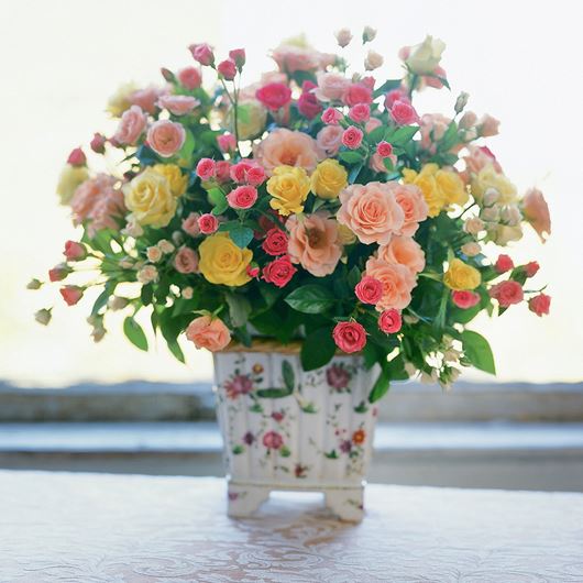 Petite spray roses in bursts of color make an ideal gift for Valentine's Day celebrations.