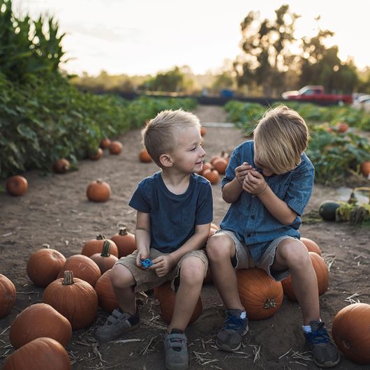 A beloved childhood pastime: picking pumpkins for fall festivities.