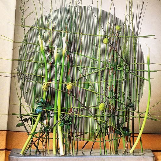 Botanical installation with Japanese design influences.