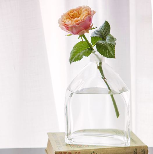 David Austin’s ‘Edith’ rose in a decanter vase.