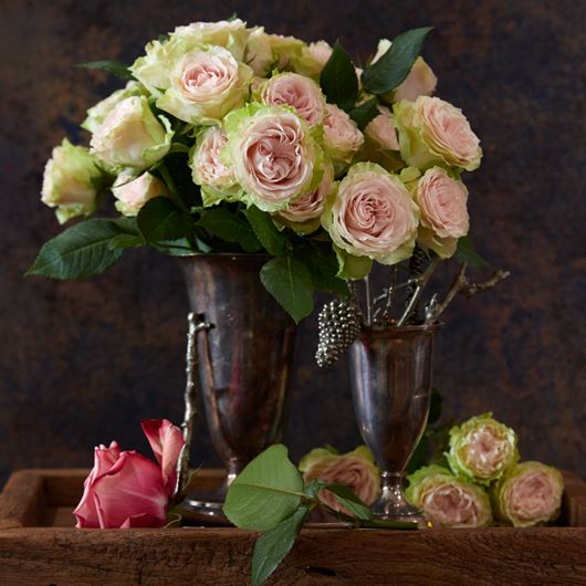 A romanic display of green/pink spray roses.