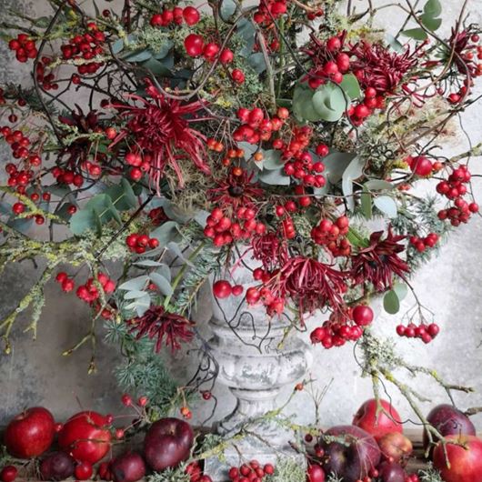 Mums, Eucalyptus and 'Prunifolia' berries showcase the best of seasonal red and green hues.