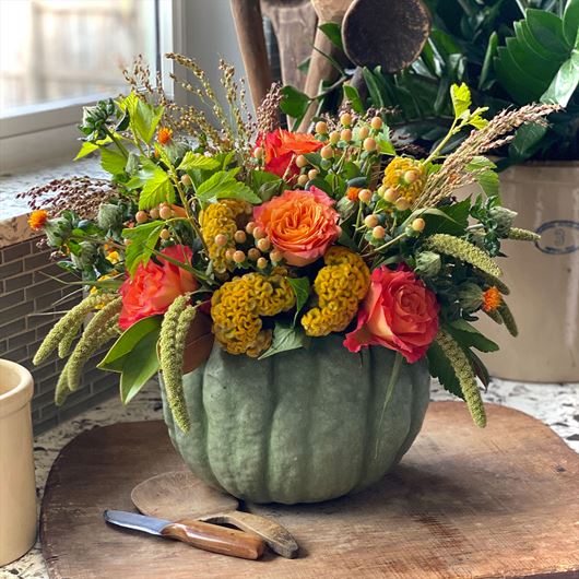 Fall gourd centerpiece featuring 'Free Spirit' roses, Celosia, Setaria, Hypericum, Carthamus and seasonal grasses.