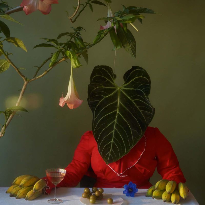Book Review: An Exquisite Reverie of the Whimsical World of Flowers, Doan Ly&#39;s &quot;Still Life&quot;&nbsp;Reimagines Classic Still Life Art Through Visual Storytelling
