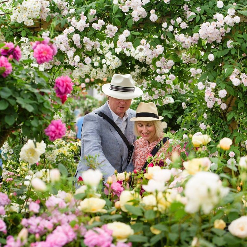 A Herald of Spring Celebrations, the 2022 RHS Chelsea Flower Show Was a Spectacle of Color and Magnificent Blooms