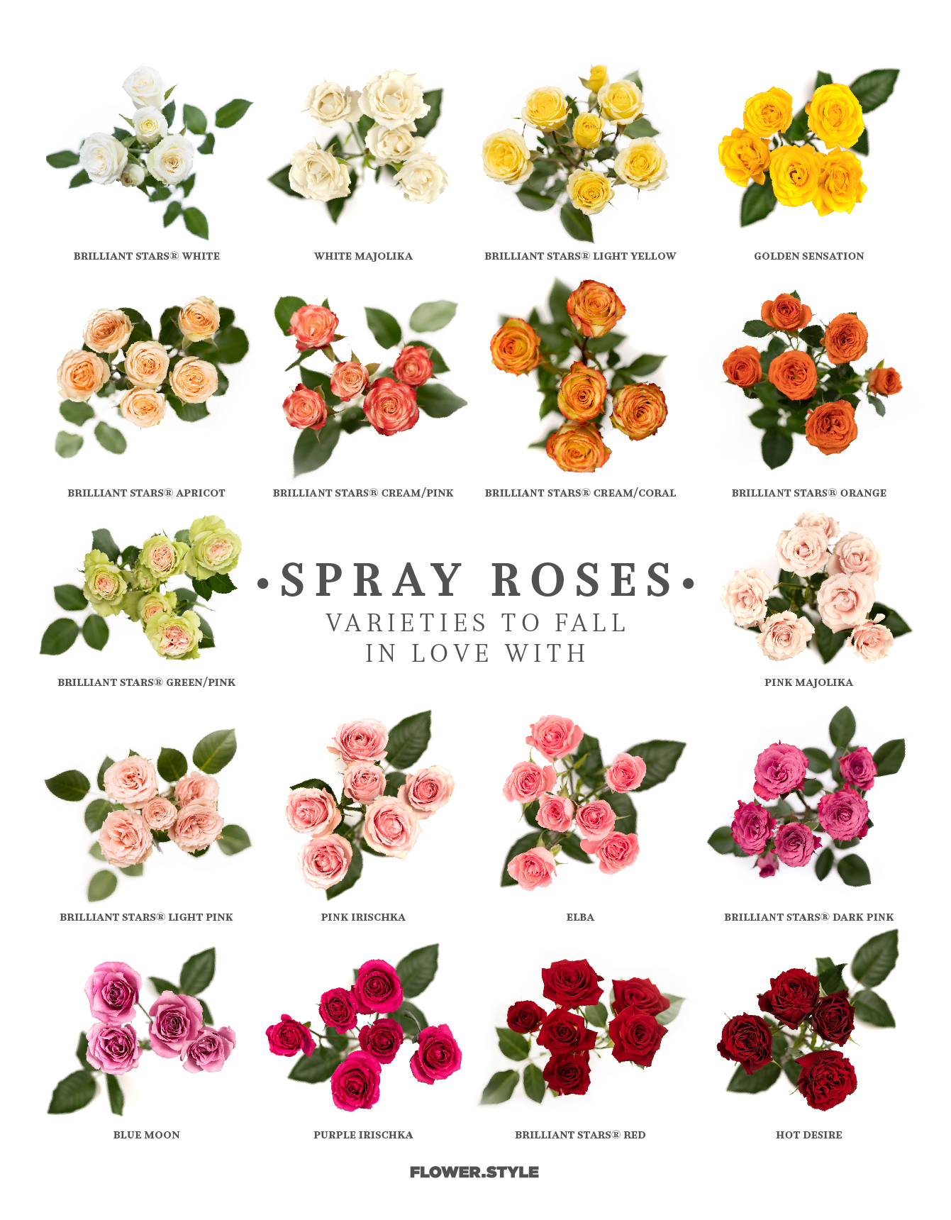 Esmeralda Farms Spray Rose Poster
