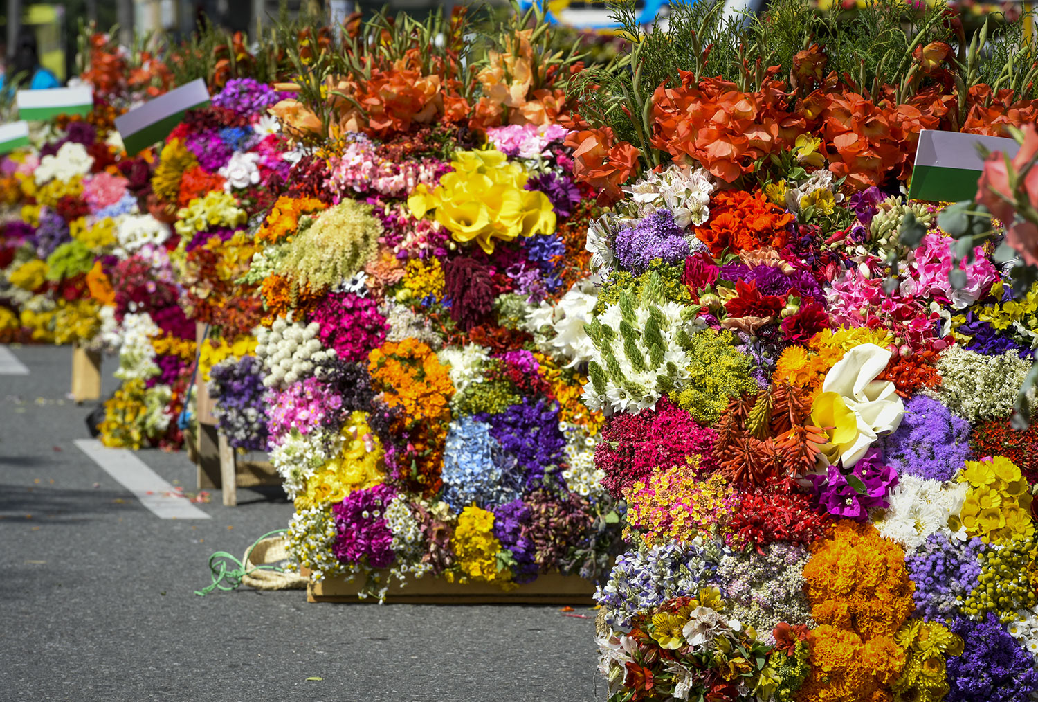 Satisfy Your Wanderlust with The World's Most Fantastical Flower Festivals  - Inspire -  Magazine