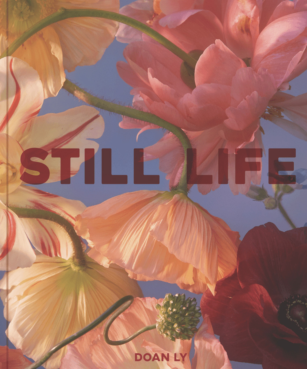 Still Life [Book]